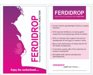 human chorinic gonadotropin injection