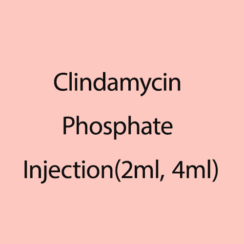 Clindamycin Phosphate Injection(2ml, 4ml)